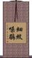 細紋噪鶥 Scroll