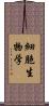 細胞生物学 Scroll