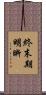 終末期明晰 Scroll