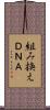 組み換えＤＮＡ Scroll