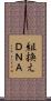 組換えＤＮＡ Scroll