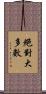 絕對大多數 Scroll
