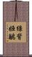綠背姬鶲 Scroll