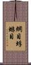 網目蜉蝣目 Scroll