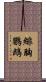 緋胸鸚鵡 Scroll