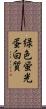 緑色蛍光蛋白質 Scroll