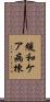 緩和ケア病棟 Scroll