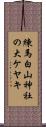 練馬白山神社の大ケヤキ Scroll