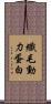 纖毛動力蛋白 Scroll