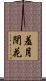 羞月閉花 Scroll
