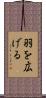 羽を広げる Scroll