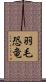 羽毛恐竜 Scroll