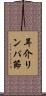 耳介リンパ節 Scroll