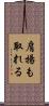 肩揚も取れる Scroll