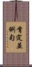 肯定並例句 Scroll