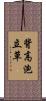 背高泡立草 Scroll