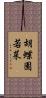 胡蝶園若菜 Scroll