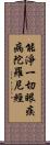 能淨一切眼疾病陀羅尼經 Scroll