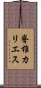 脊椎カリエス Scroll