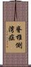 脊椎側湾症 Scroll
