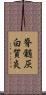 脊髄灰白質炎 Scroll
