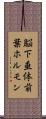 脳下垂体前葉ホルモン Scroll