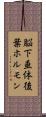 脳下垂体後葉ホルモン Scroll