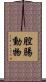 腔腸動物 Scroll
