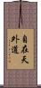 自在天外道 Scroll