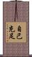 自己充足 Scroll