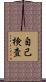 自己検査 Scroll