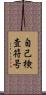 自己検査符号 Scroll