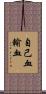 自己血輸血 Scroll