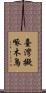 臺灣擬啄木鳥 Scroll