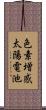 色素増感太陽電池 Scroll