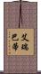 艾瑞巴蒂 Scroll