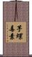 芋螺毒素 Scroll