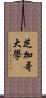 芝加哥大學 Scroll