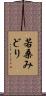 若桑みどり Scroll