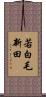 若白毛新田 Scroll