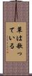 草は歌っている Scroll