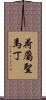 荷屬聖馬丁 Scroll