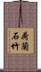 荷蘭石竹 Scroll