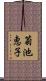 菊池恵子 Scroll