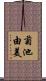 菊池由美 Scroll