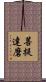 菩提達磨 Scroll