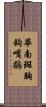 華南斑胸鉤嘴鶥 Scroll