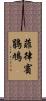 菲律賓鵑鳩 Scroll