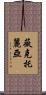 Wiktroria Scroll