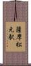 薩摩松元駅 Scroll
